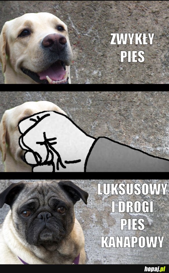 Pieseł