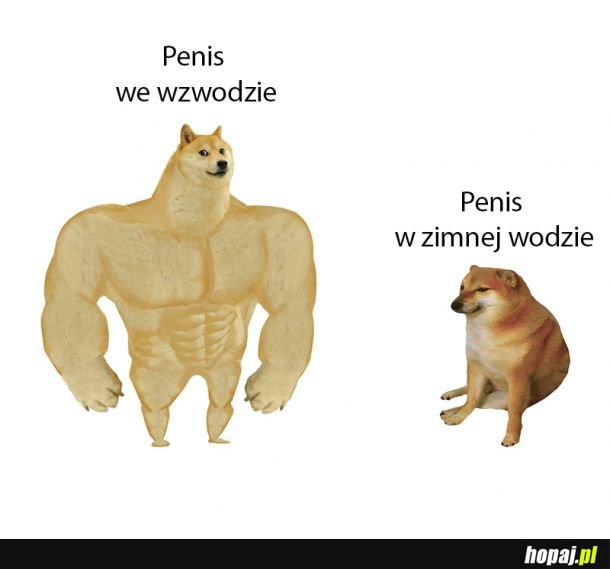 Benis