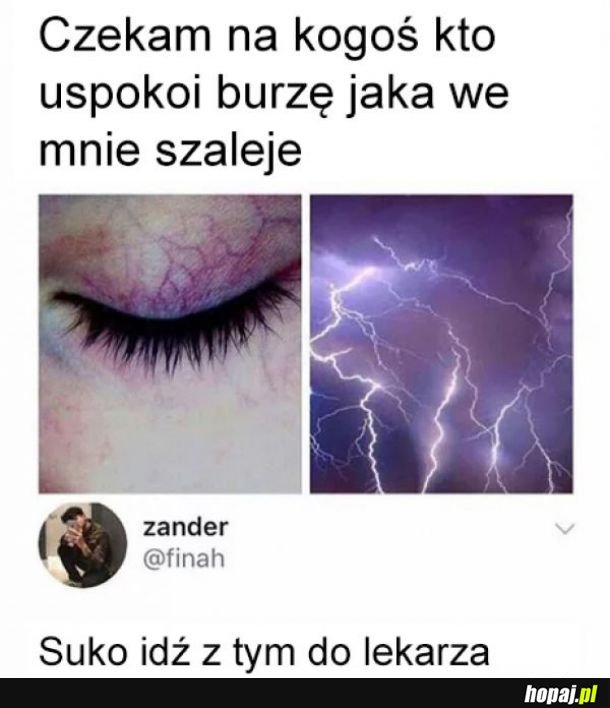 Logika lasek