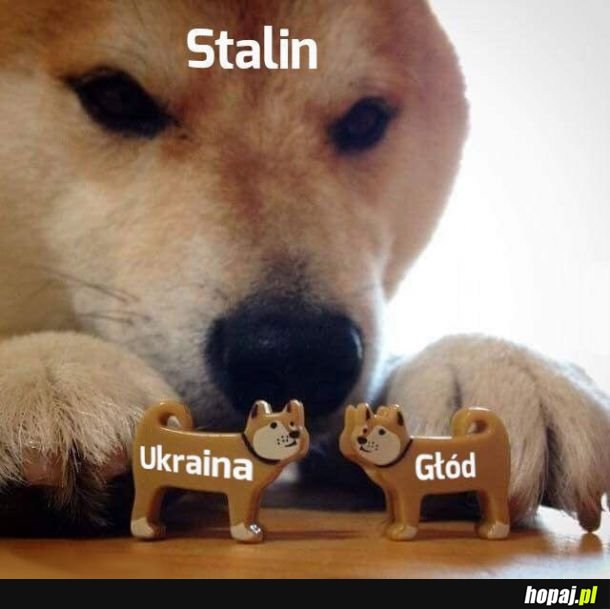 I tak się żyje w tym Związku Radzieckim...