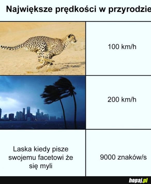 Prędkość maksymalna