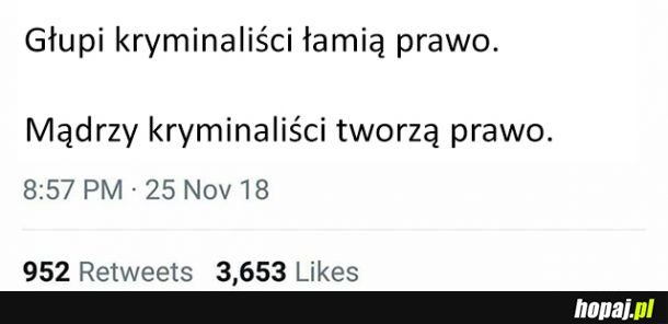 Mądrzy vs głupi kryminaliści