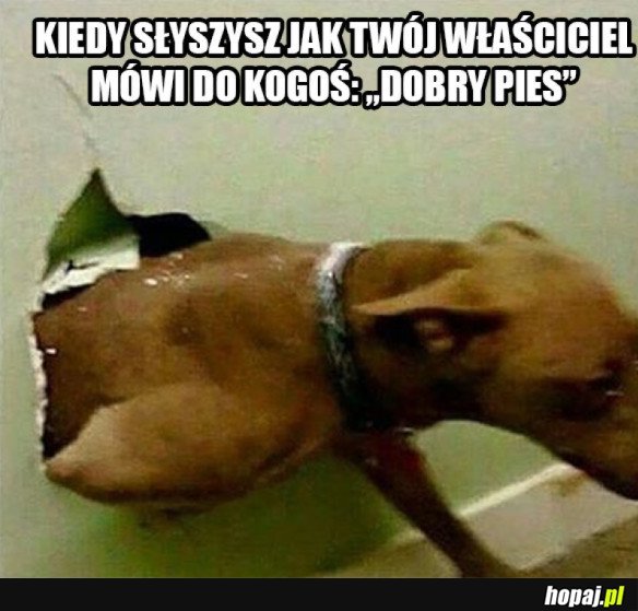 Pieseł