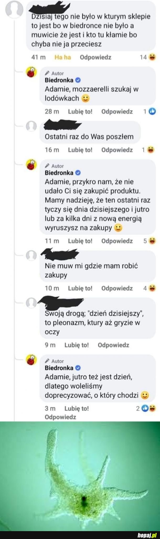 Opanowani ludzie w tej biedrze