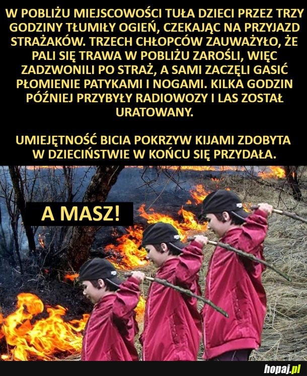 Dzieci uratowały las przed pożarem