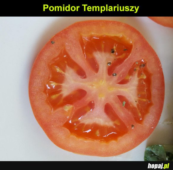 Pomidor