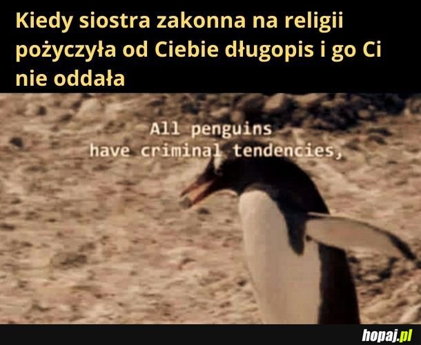 Pingwinek