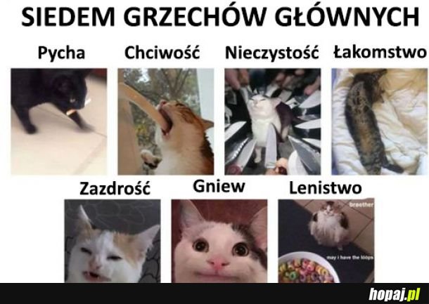 Siedem grzechów