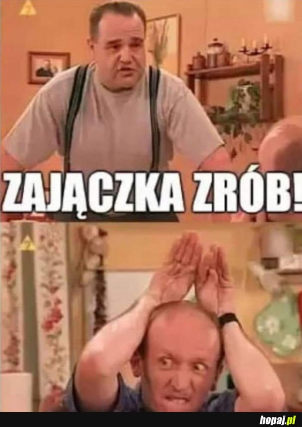 Zajączek