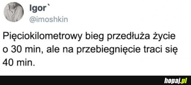 Nie ma sensu
