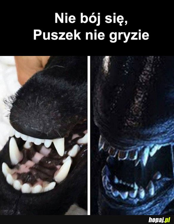 NIE BÓJ SIĘ