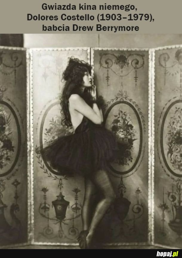 Goddess of the Silent Screen