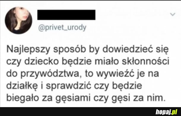 Skłonności przywódcze
