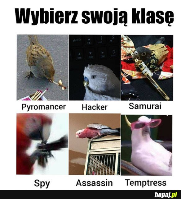 WYBIERZ SWOJĄ KLASĘ!