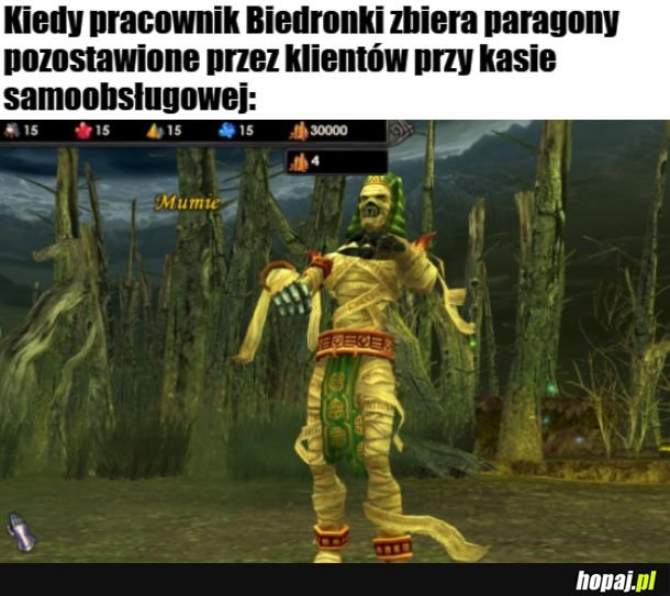 Mem heroesowy 