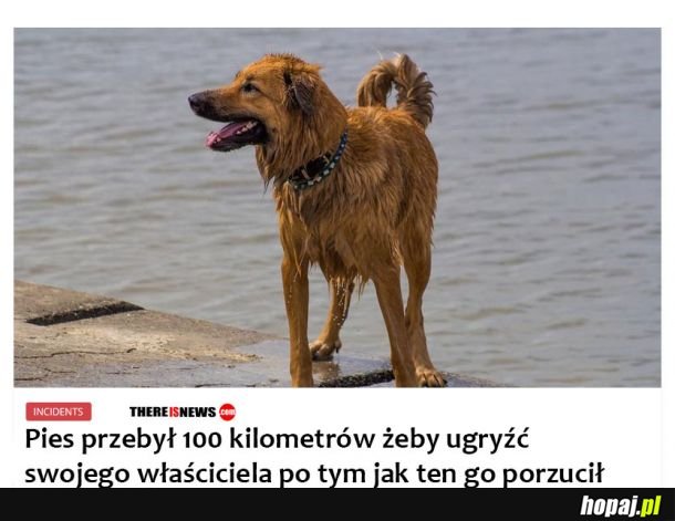 Zemsta jest słodka