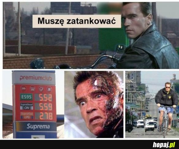 Terminator w Polsce