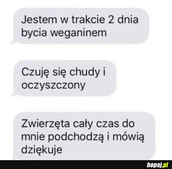 OCZYSZCZENIE SIEBIE