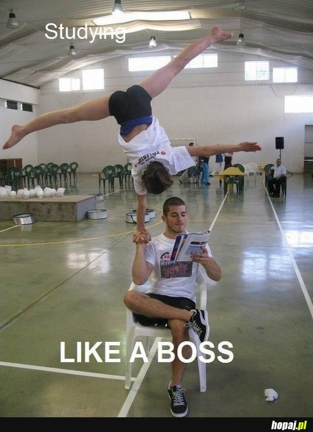 Like a boss