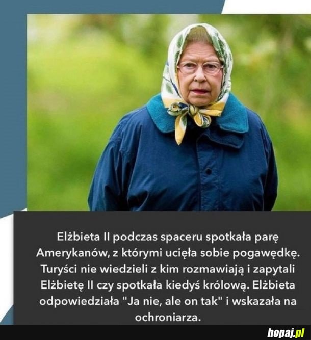 Elka trolluje