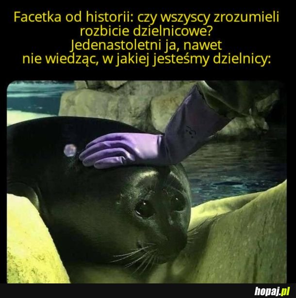 Nic nie wiem