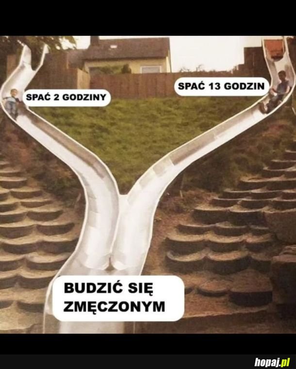 Iluzja wyboru