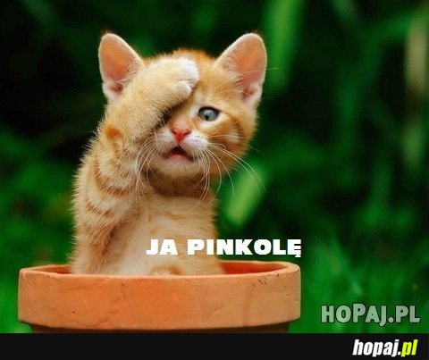 Ja pinkolę