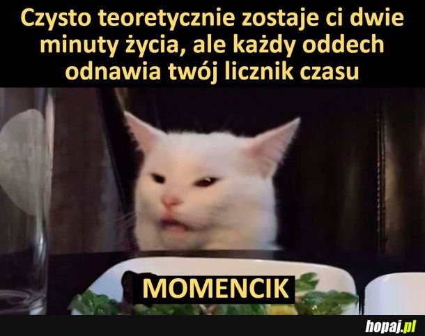 Dwie minuty życia