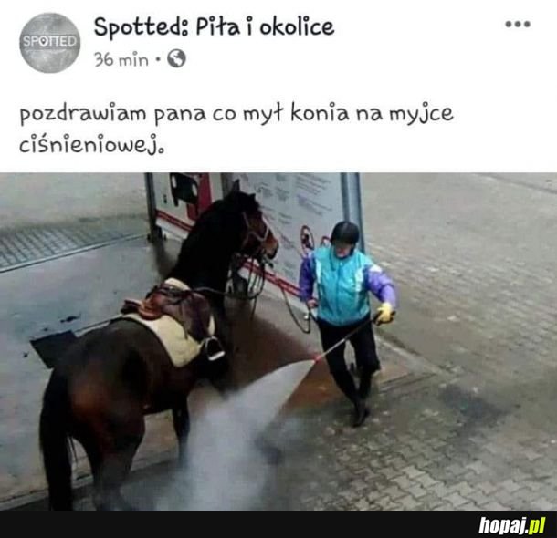  Pozdrowienia dla pana