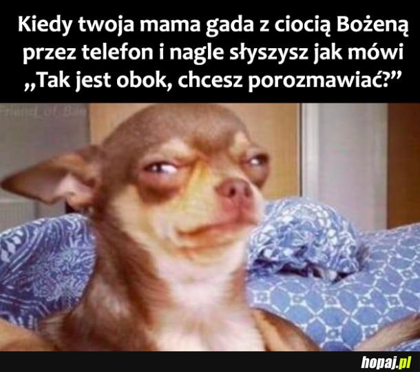 Ale ja nie chcę