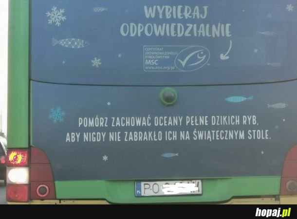 Pomorzecie? Pomorzemy!