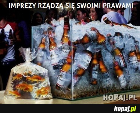 Imprezy rządzą się swoimi prawami