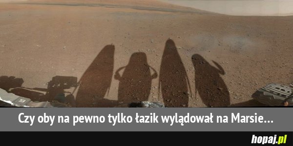 czy tylko łazik wylądował na Marsie?