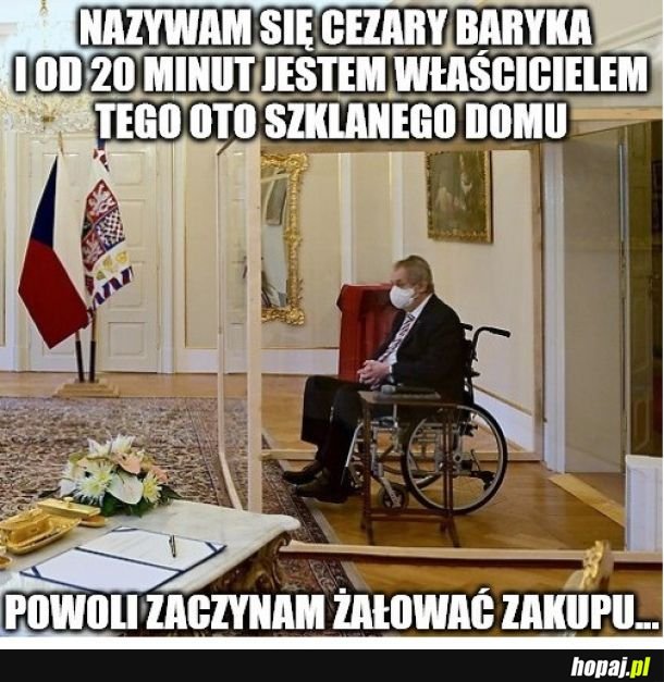 Miłosz Zeman Prezydent Czech
