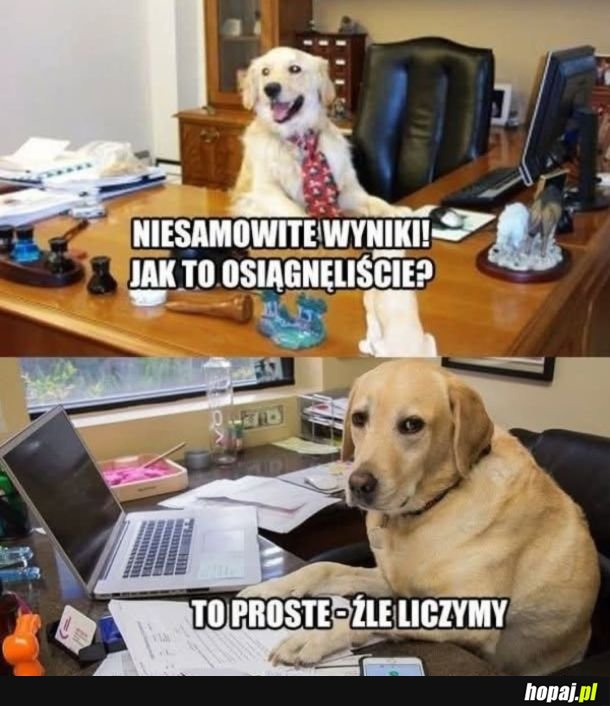 Niebywały sukces