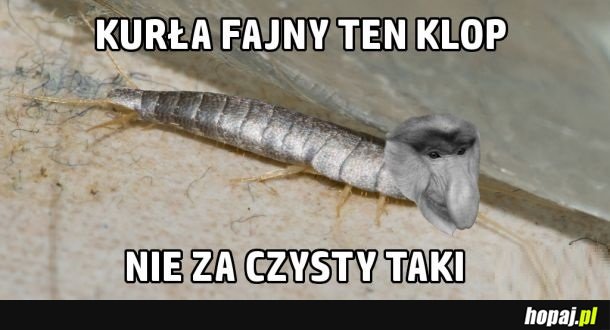 Mały sk**wiel