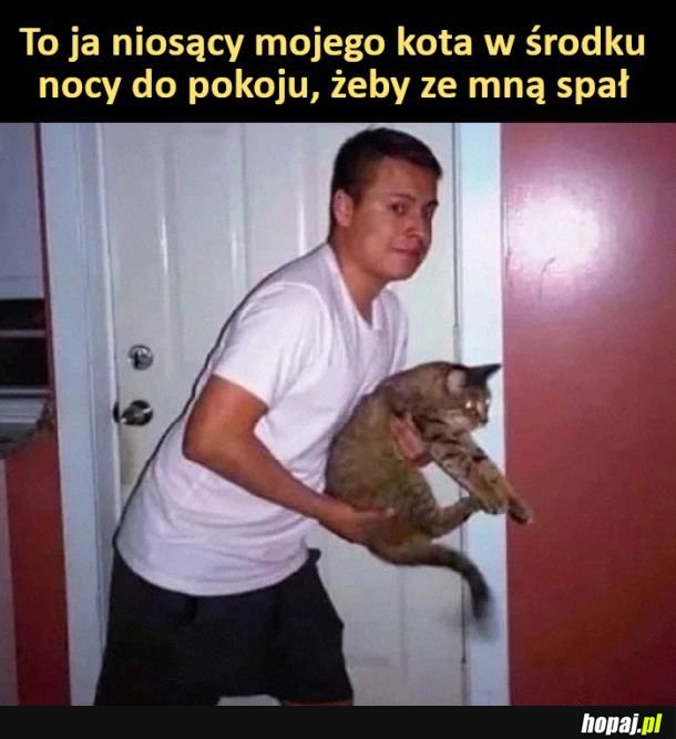 Przytulanka
