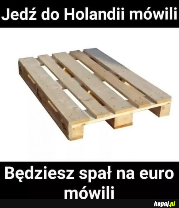 Nie kłamali 