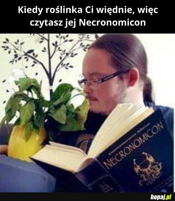 Ja bym podlał, ale co ja tam wiem? Nie jestem przecież roślinkologiem