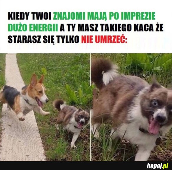 ZA KAŻDYM RAZEM...