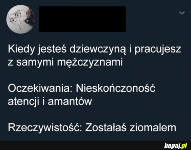 Jedyna laska w pracy