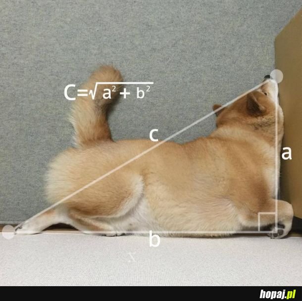 Piesełowa matematyka