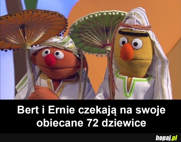 Cierpliwe chłopaki