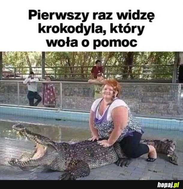 Piątka dla zwierząt była jednak potrzebna :(