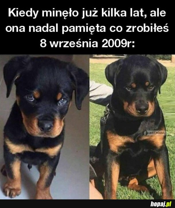 ONA NADAL PAMIĘTA