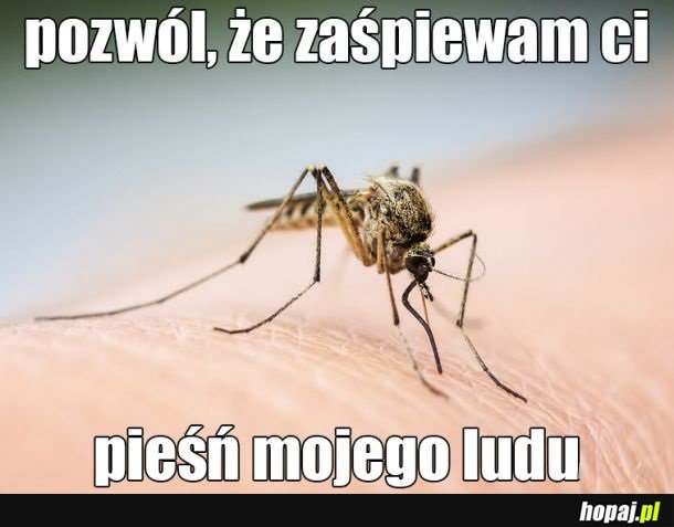 Posłuchaj mojej kołysanki