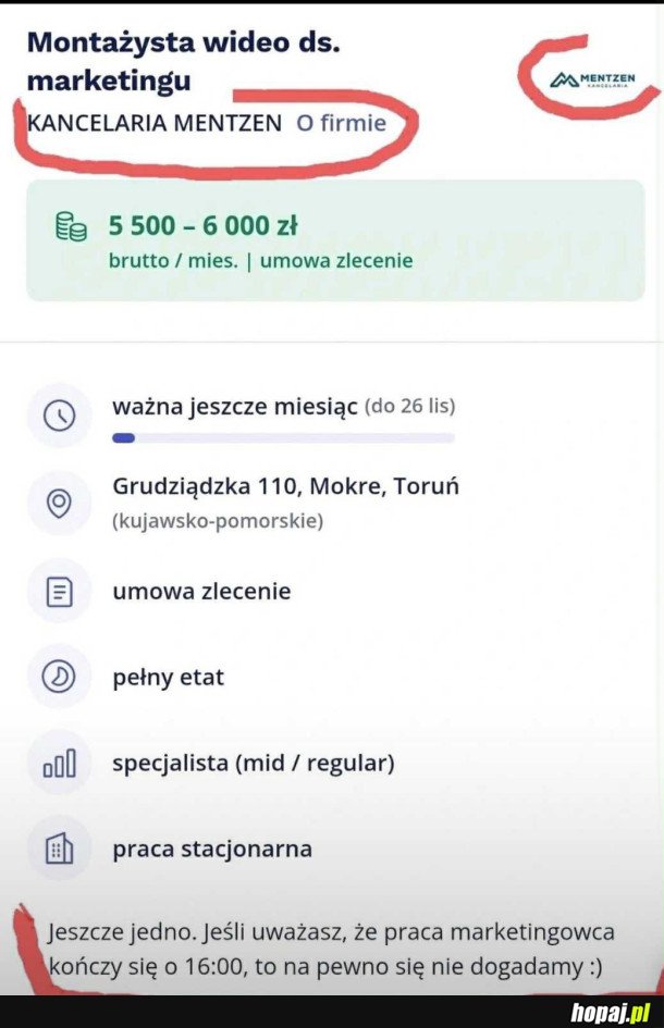 Oferta pracy w firmie Sławomira Mentzena.