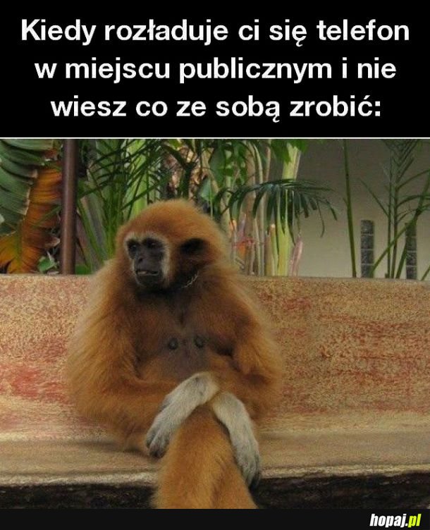 Kiedy rozładuje ci się telefon