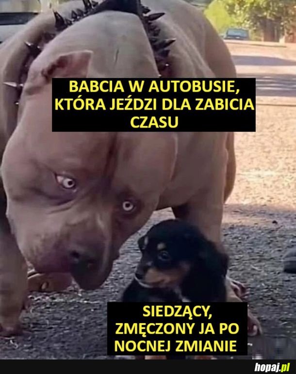 Stare baby