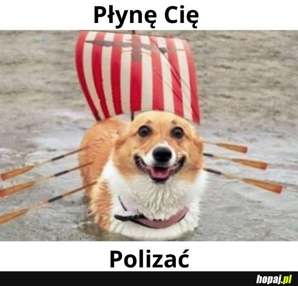 Prawdziwe łodzie Wikingów tak wyglądały